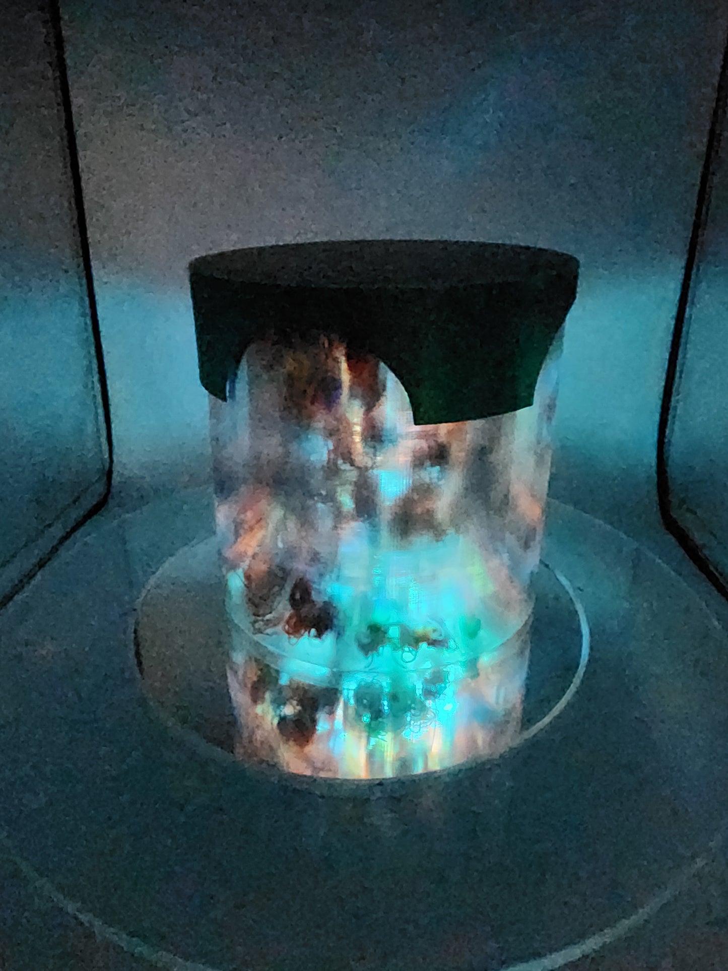 The Poop lamp....PLA poop lamp with green to red color changing lid.